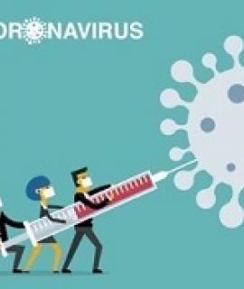 primo-vaccination